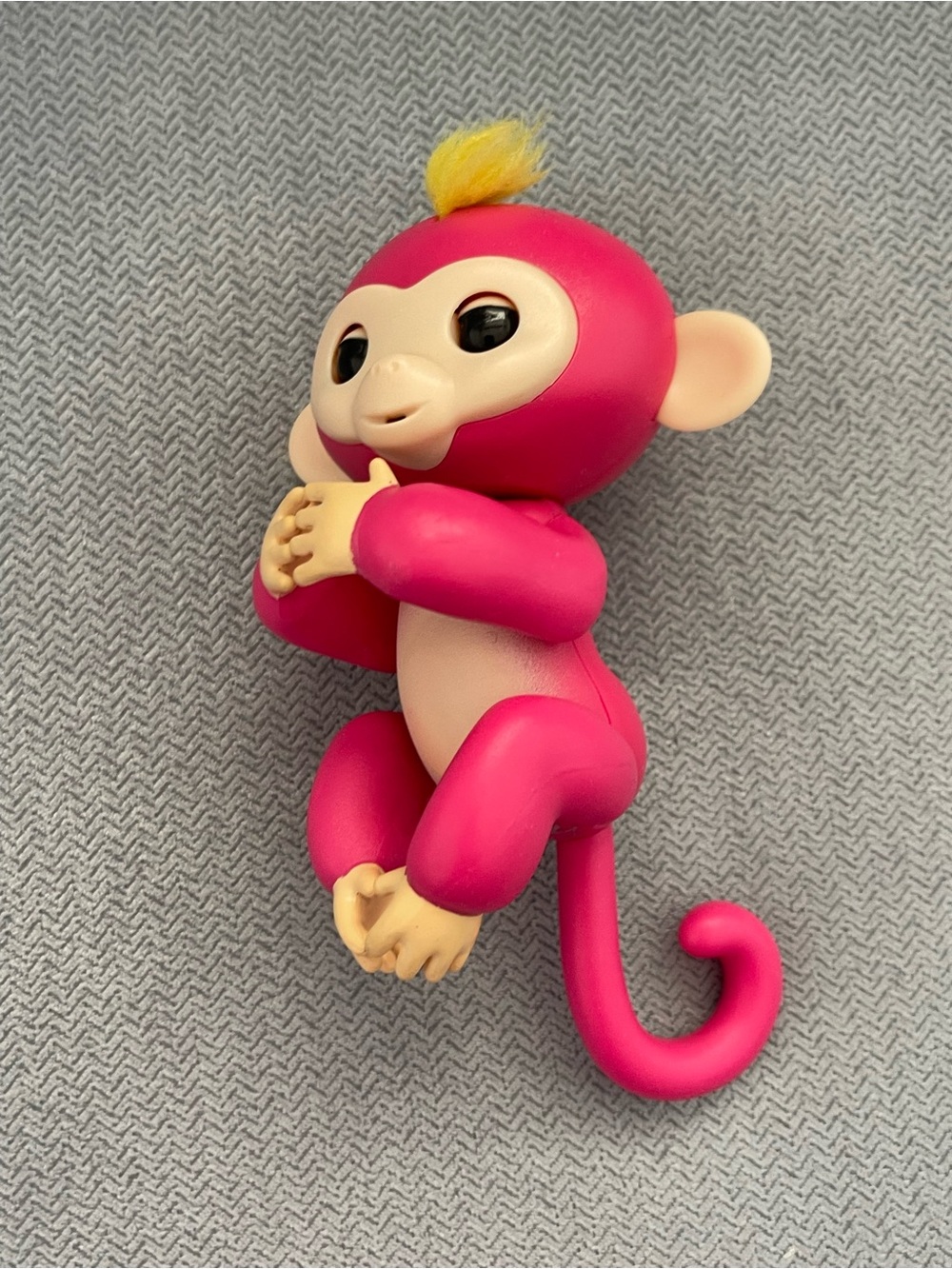 Fingerling Monkey 2016